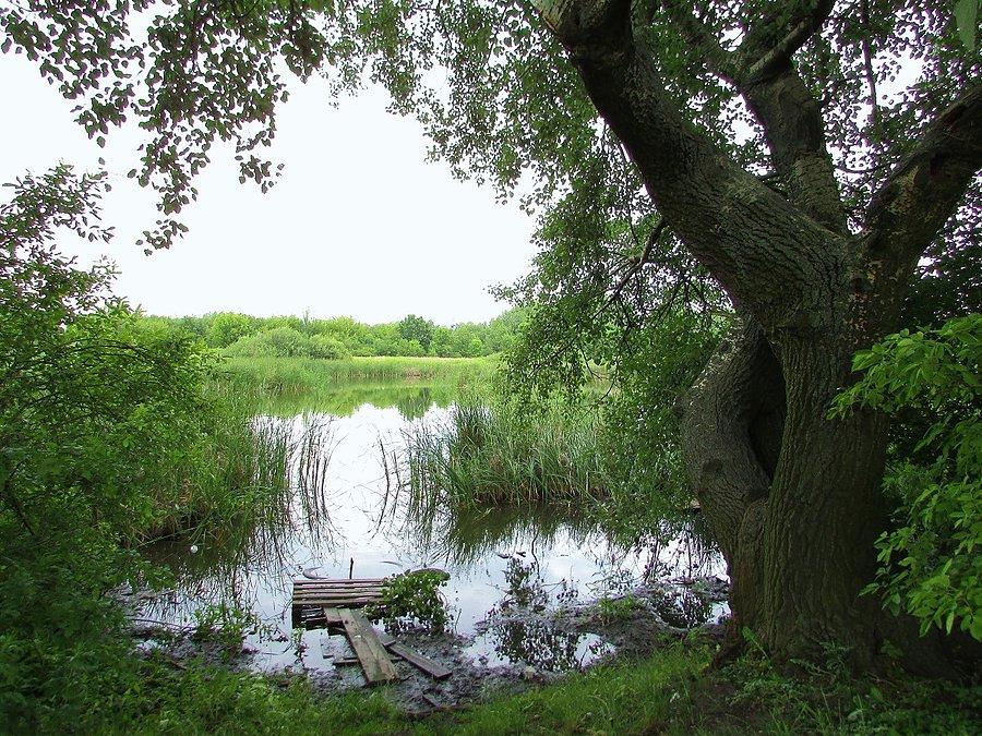 Jezioro Grabowskie - stanowisko wędkarzy