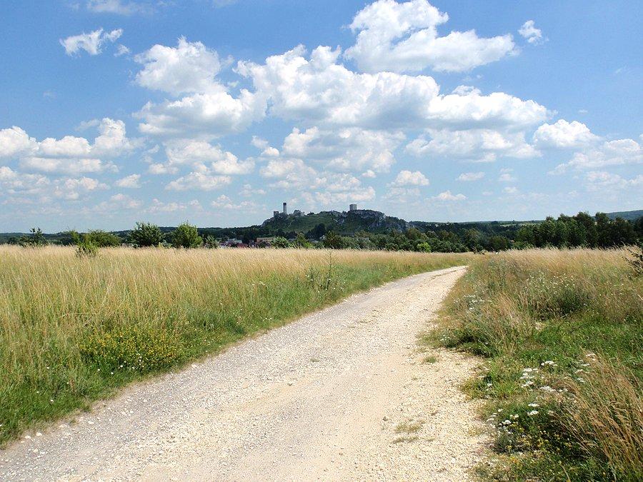 W drodze do Olsztyna