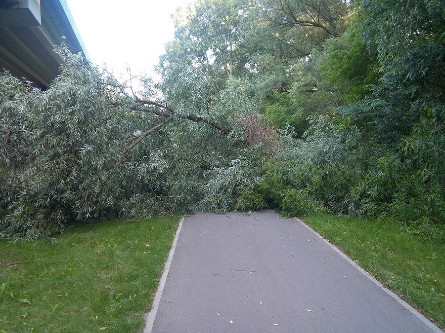 Niespodzianka