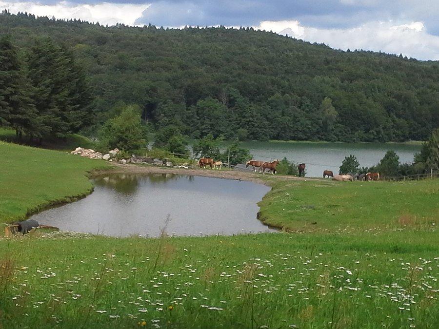 Kaszubskie widoki