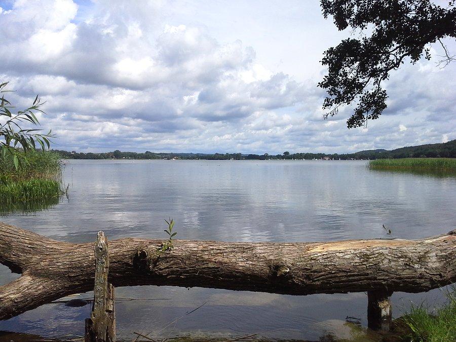 Widok na Jezioro Kłodno