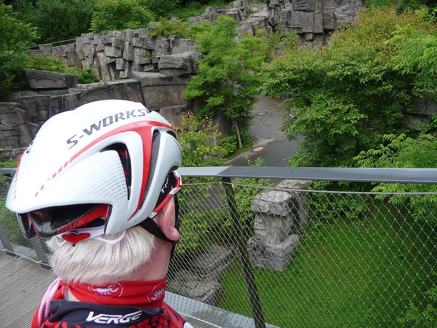 Runda do Garmin Velbert - wybieg tygrysow - Zoo Wuppertal