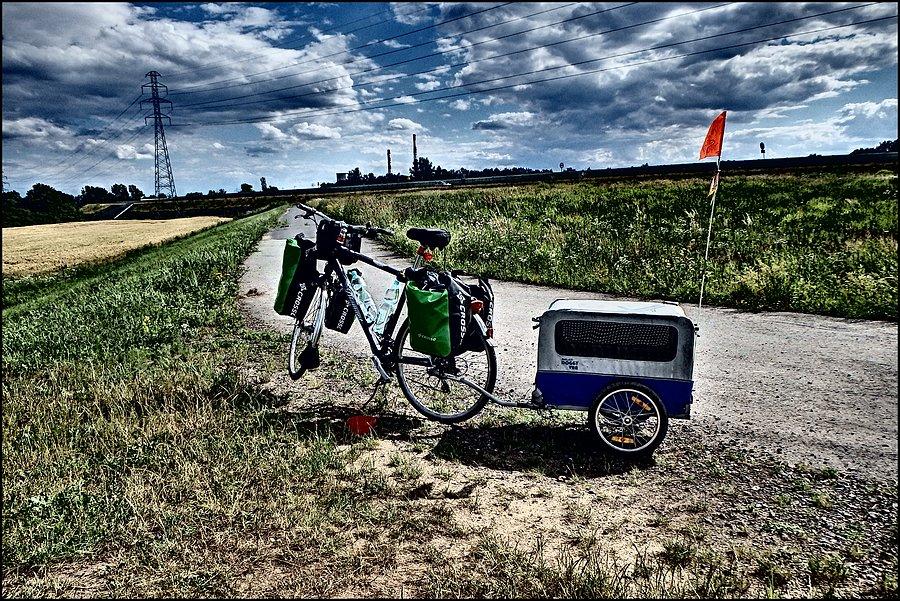 Znów "pociąg"