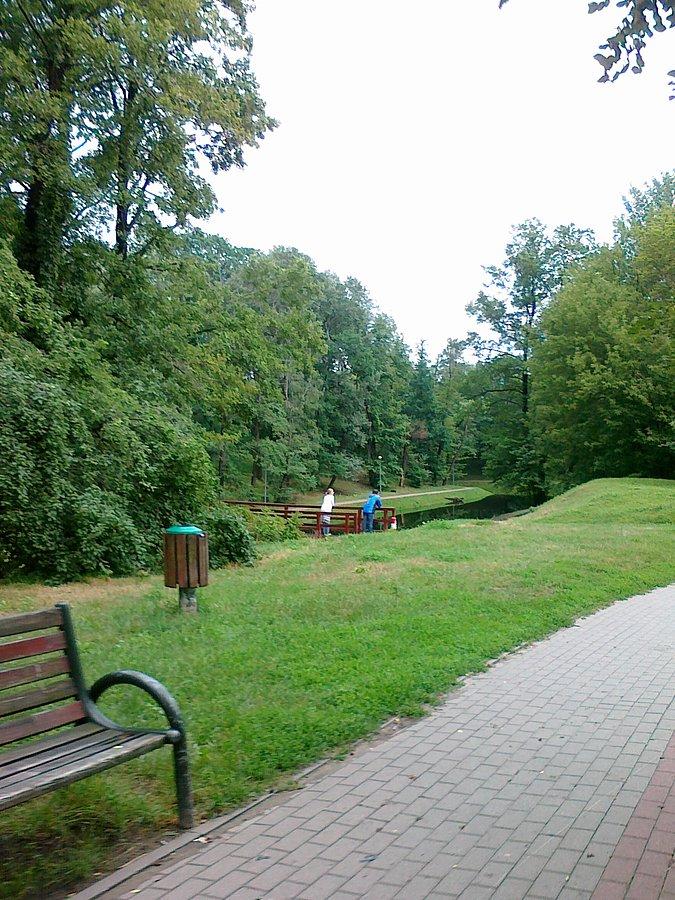 W parku