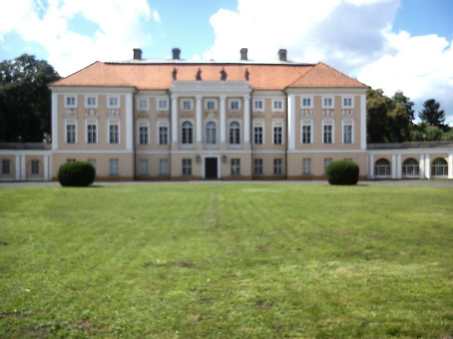 Zamglone niestety pawłowickie włości
