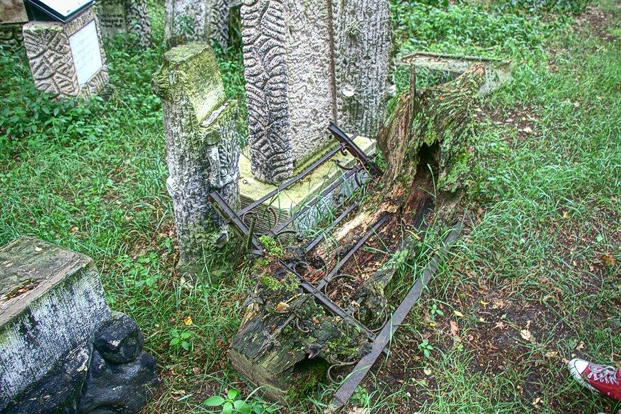 Element metalowego ogrodzenia wrośnięty w drzewo