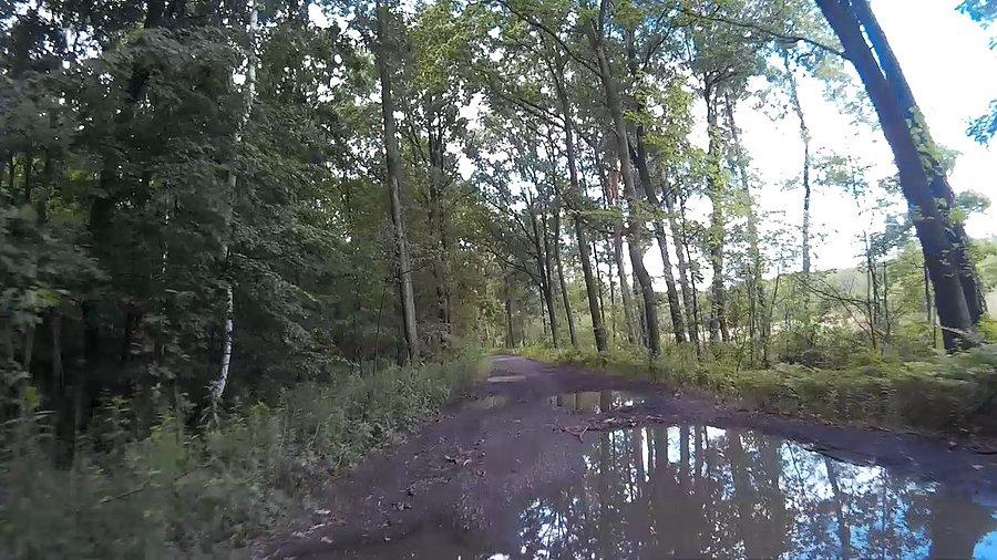Kilka kałuż po drodze