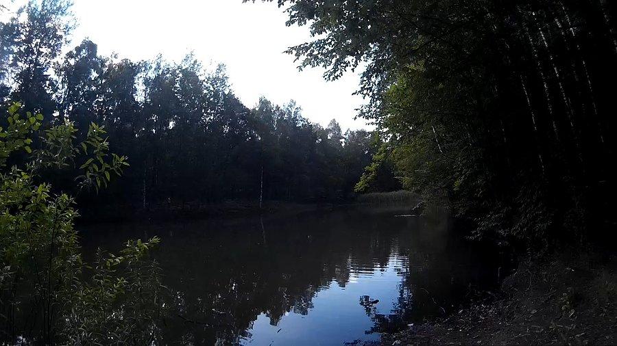 Staw przy Kokocińcu