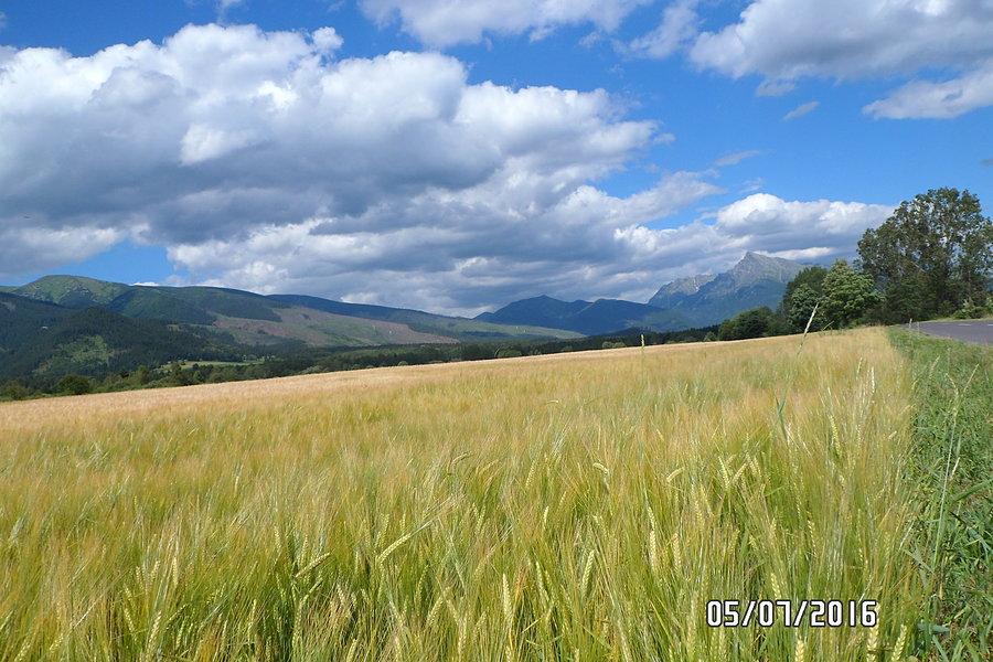 Widok za plecami