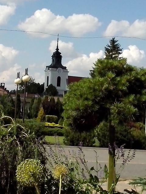 Wolborska kolegiata