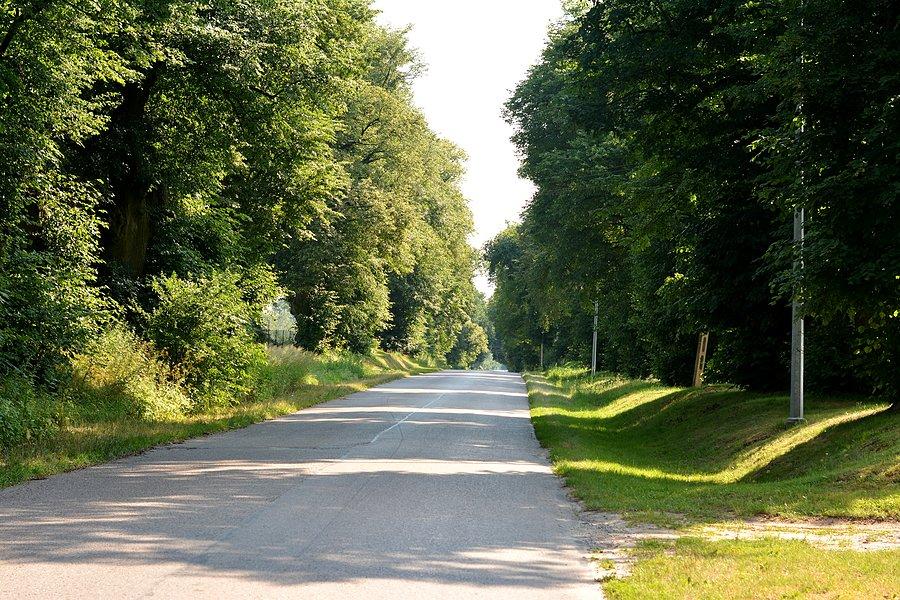 Charlęż latem
