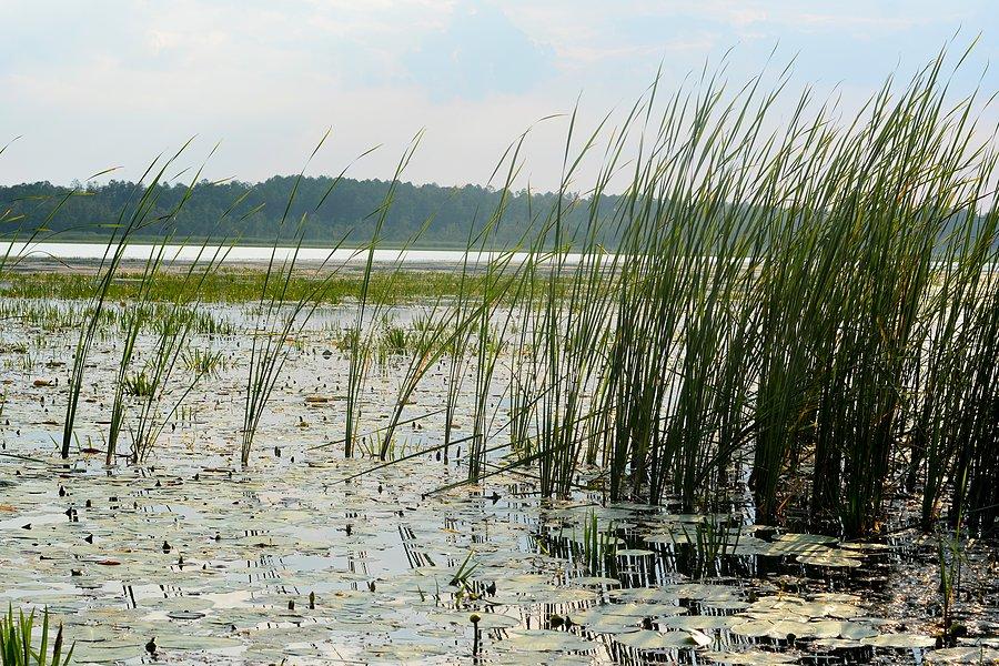 Jezioro Łukie