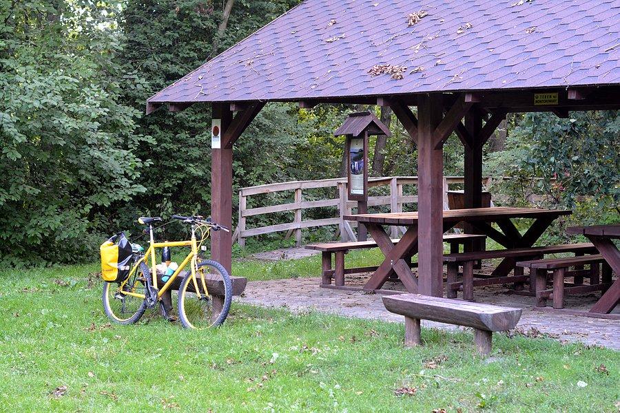 Miejsce piknikowe na Jeziorem Łukie