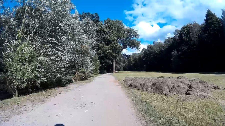 Wycieli trawę w parku