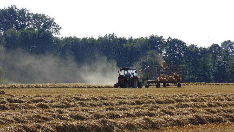 Zetor 7211 z prasą i przyczepą. Bele są wyrzucane bezpośrednio z prasy na przyczepę