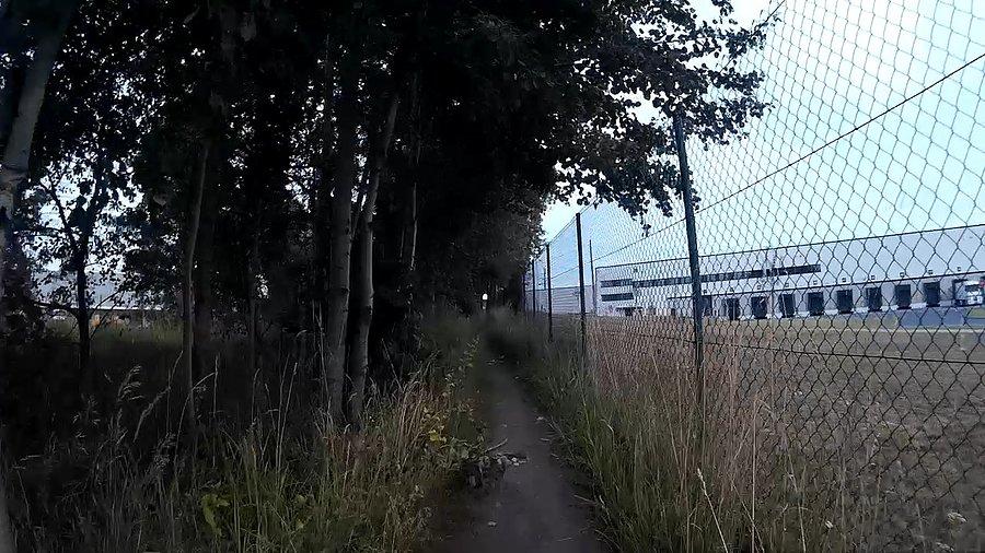 Wzdłuż płotu