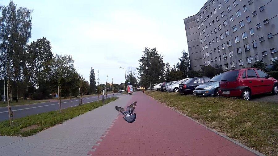 Chwilę mnie prowadził