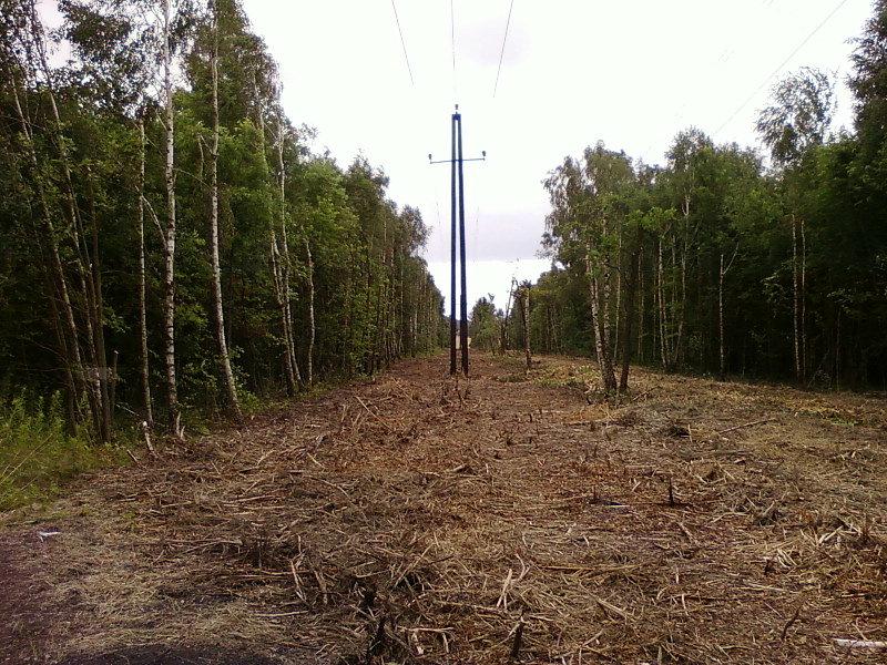 Wycinka pod linią