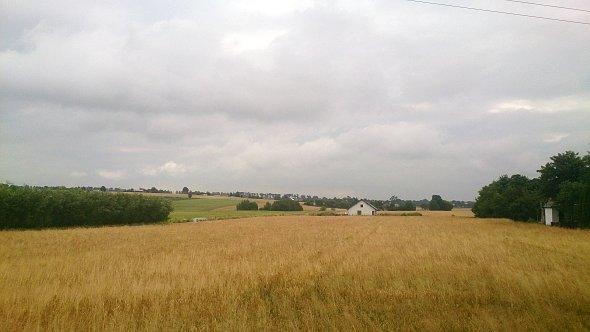 Pola w Głusku