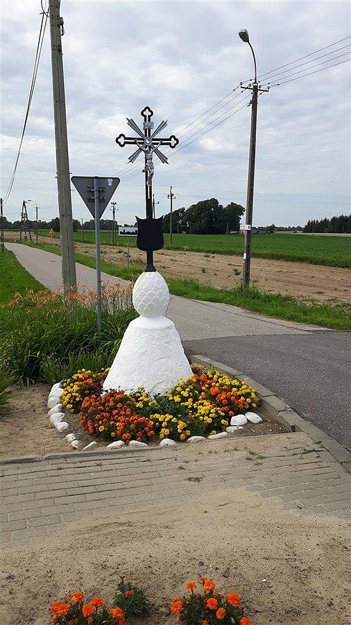 Wotum dziękczynne dla dziedzica Kopytowa