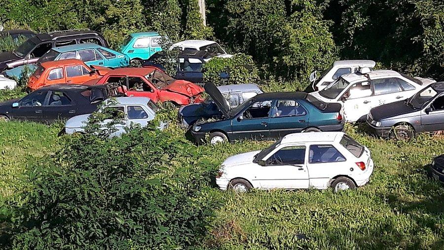 Samochody ekologiczne