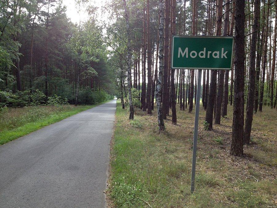 Modrak - niedaleko Obrzycka