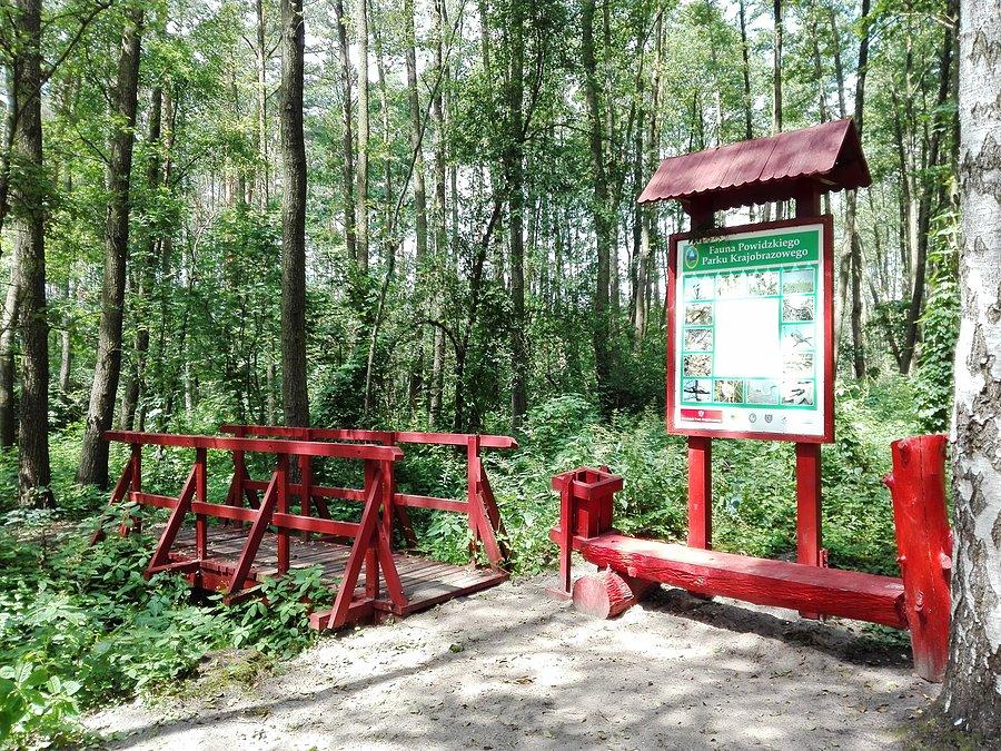 Trasa edukacyjna nad Jeziorem Wilczyńskim