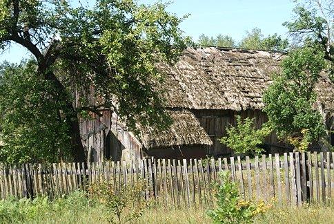 Kryta strzechą