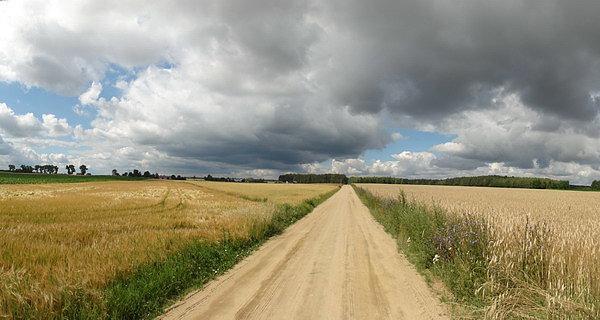 Droga z Sitnika do Swór