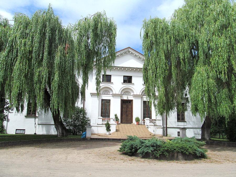 Pałac w Kiernozi