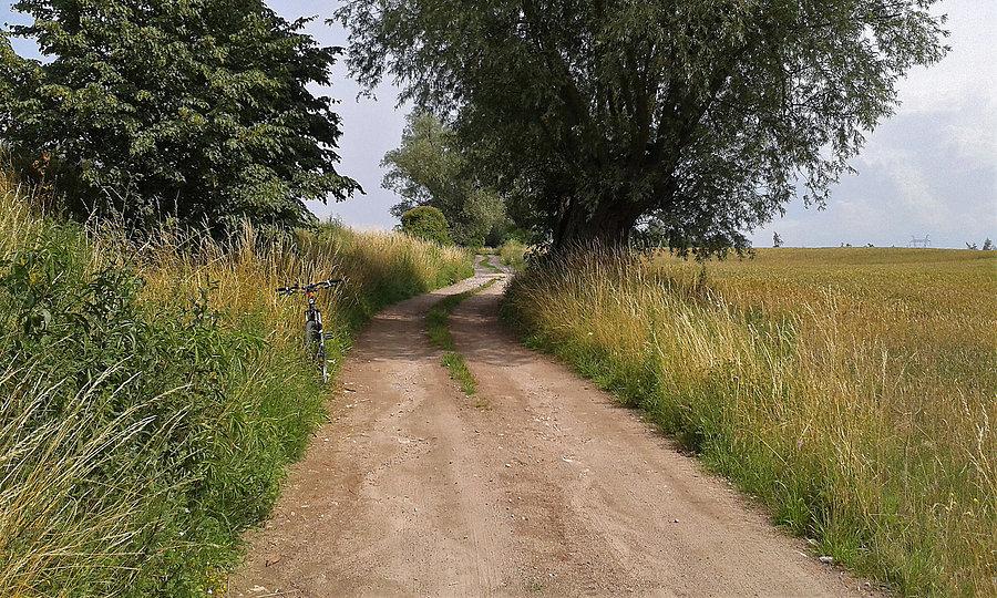 Okolice Tczewa - Kociewie