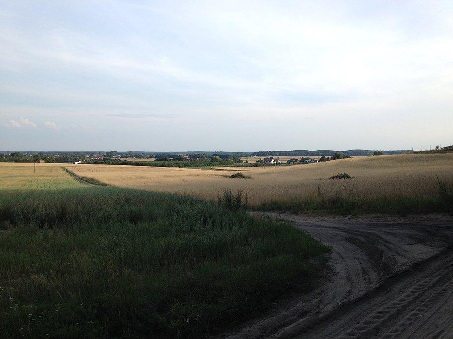 Widok w kierunku Lubasza