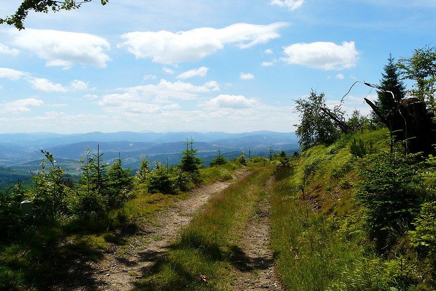 Stoki nad Złatną