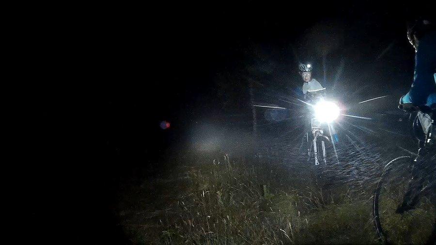Jesteśmy w czarnym lesie