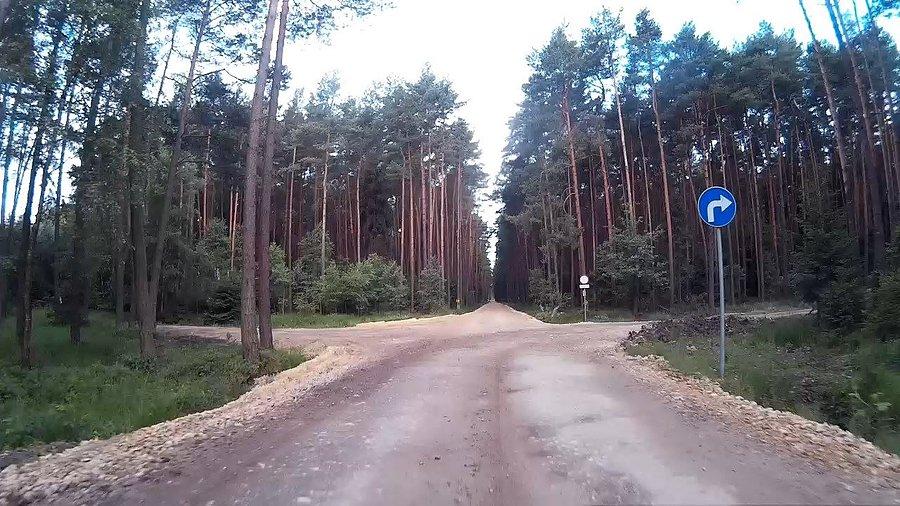 Pięknie oznaczone leśne ścieżki