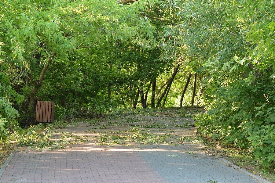 Krajobraz po burzy: DDR nad Bystrzycą w Lublinie