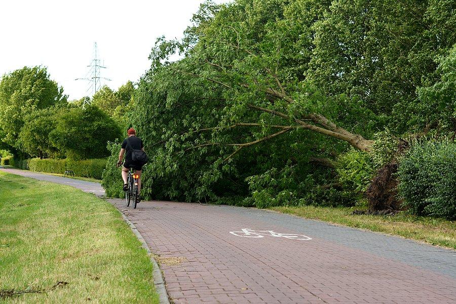 Krajobraz po burzy: DDR nad Bystrzycą w Lublinie