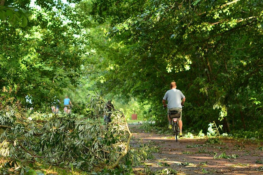 Krajobraz po burzy: DDR nad Bystrzycą w Lublinie