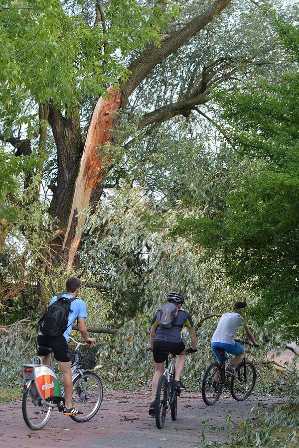 Krajobraz po burzy: DDR nad Bystrzycą w Lublinie