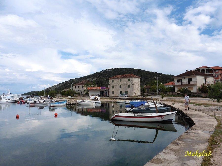 Vinisce