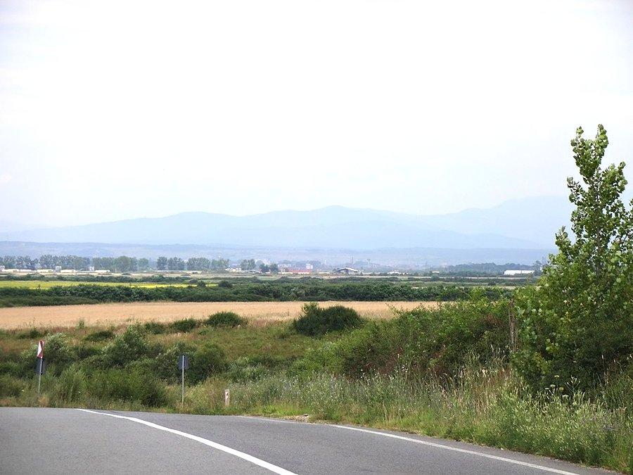 Widoki