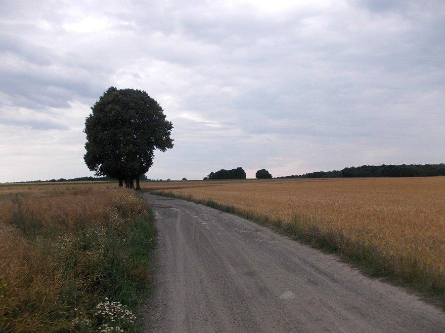 Na rozstaju dróg