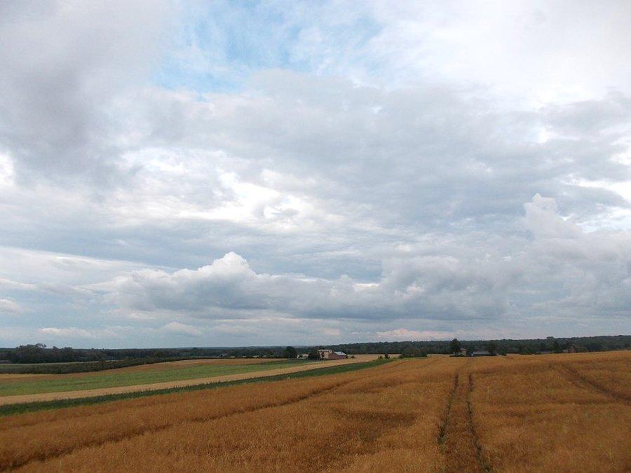 Takie chmury nic bobrego nie wróżą