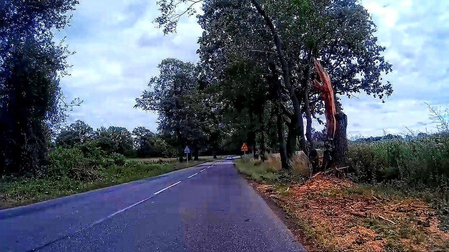 Kolejny ślad po wichurach