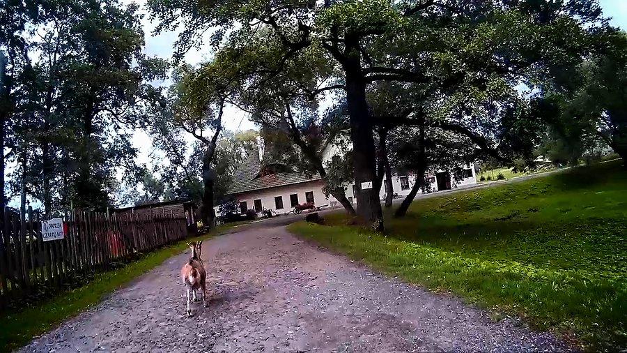 Mieszkanka okolic zamku w Chudowie