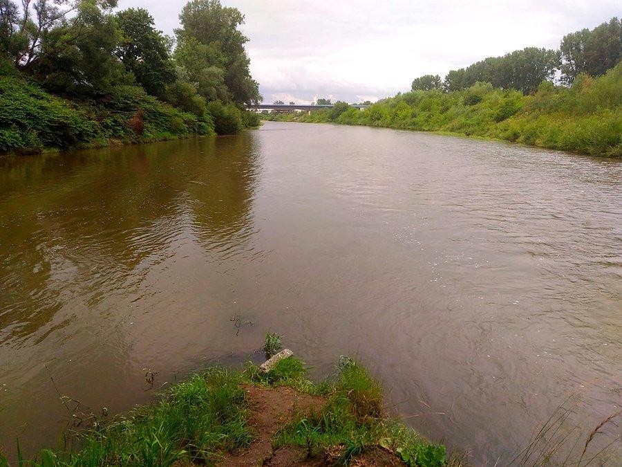 Po lewej Odra po prawej Olza