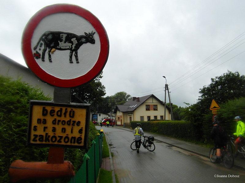 Rowerowy spacer po Kaszubach