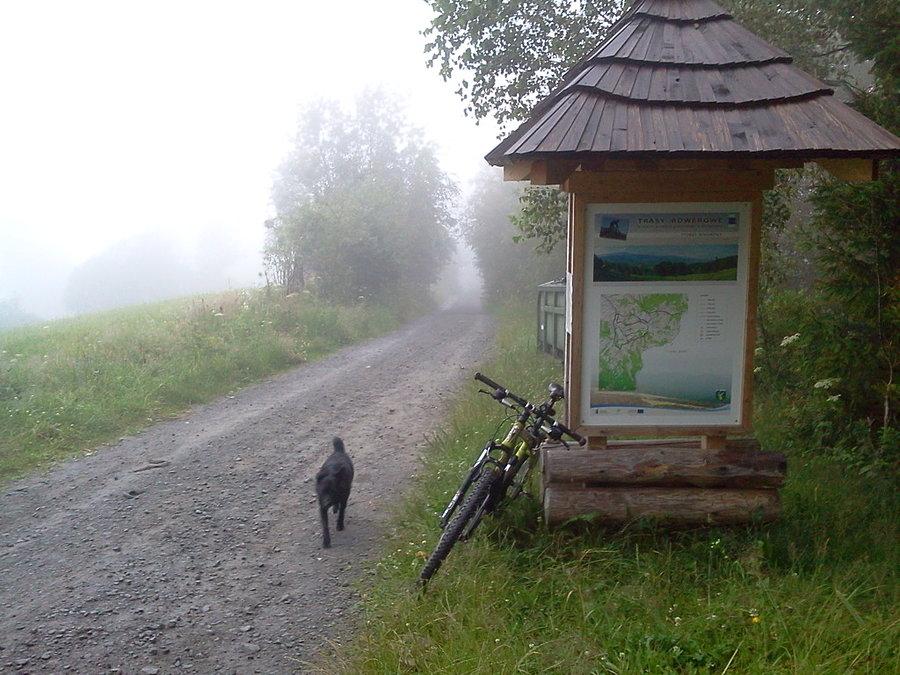 Piesek towarzyszył mi przez ok 1 km