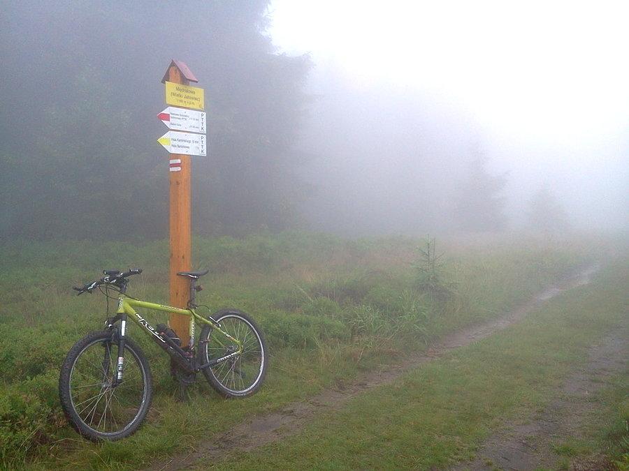Szczyt Mędralowej 1169 m
