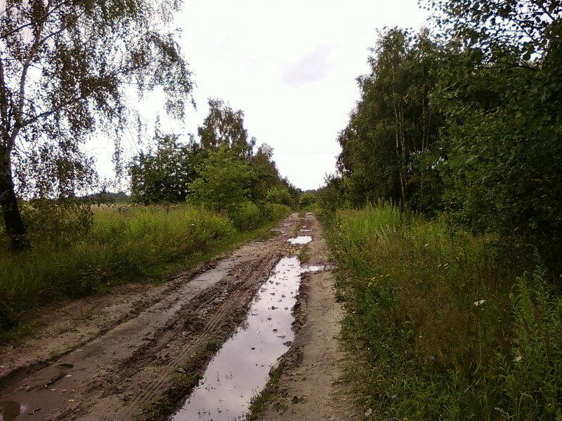 Butelki w błocie